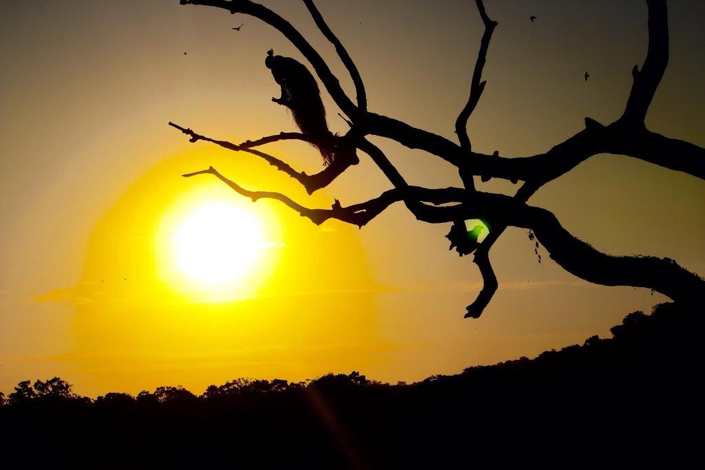 Kataragama Homestay Buitenkant foto