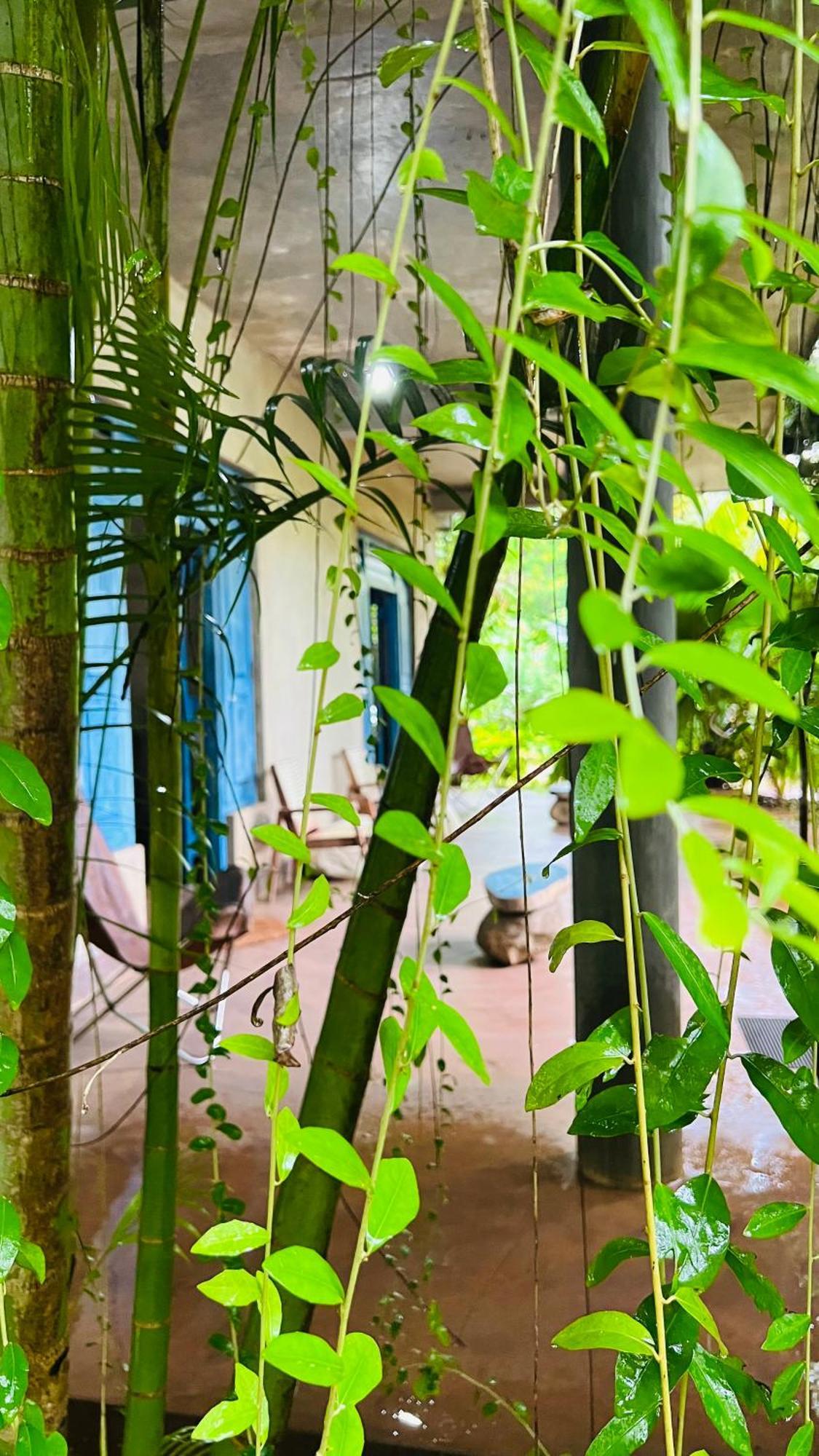 Kataragama Homestay Buitenkant foto
