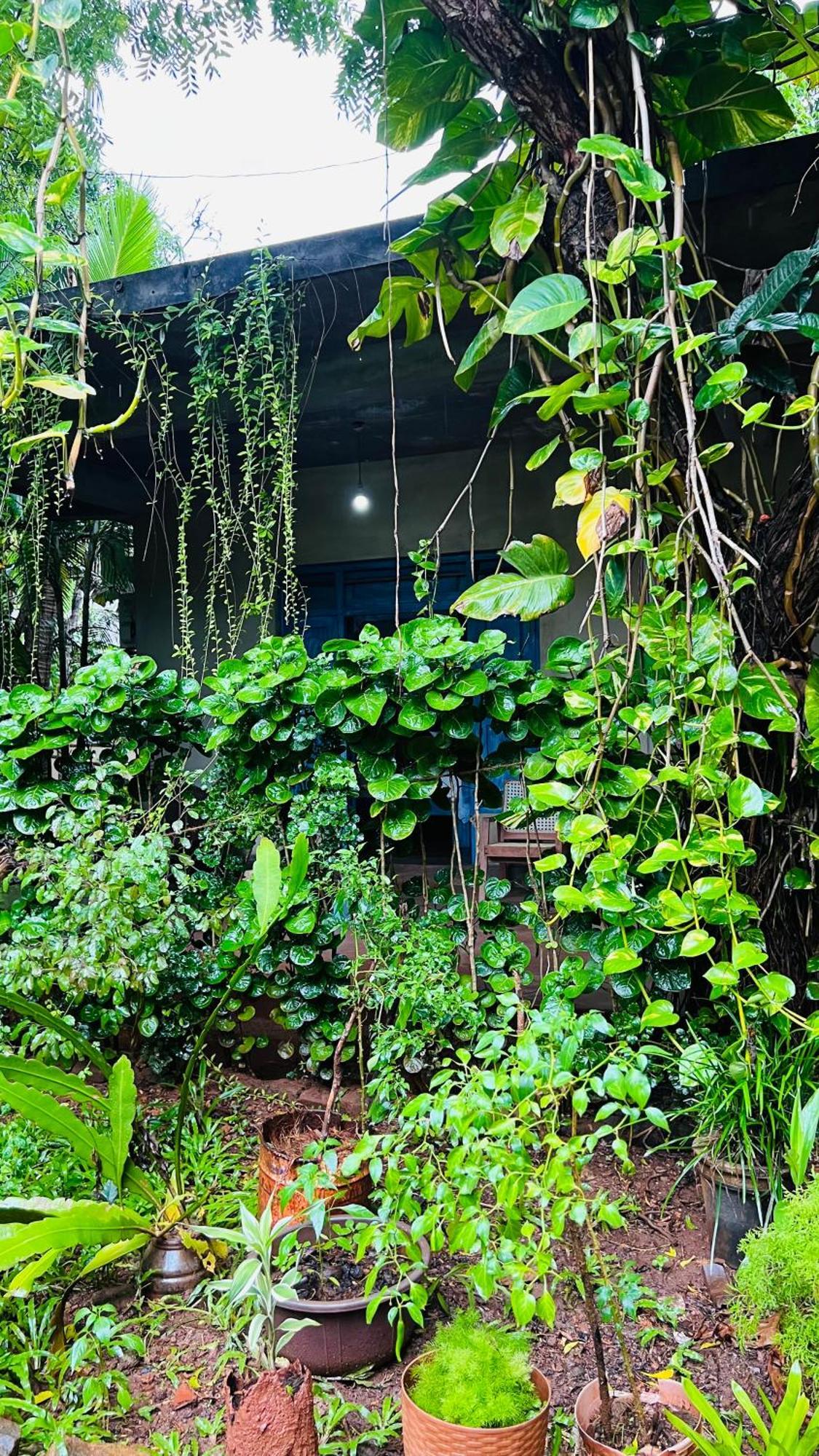 Kataragama Homestay Buitenkant foto