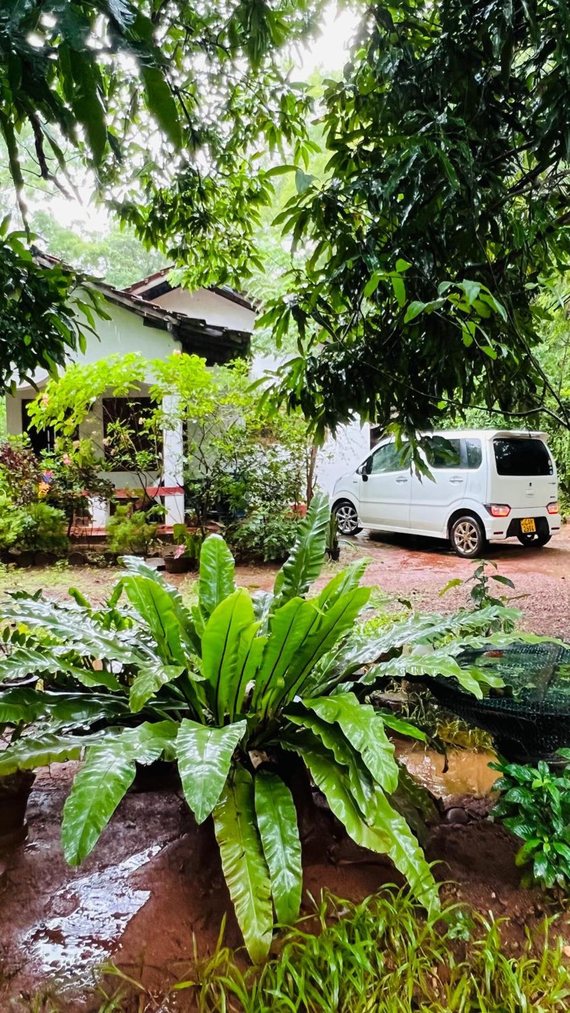 Kataragama Homestay Buitenkant foto