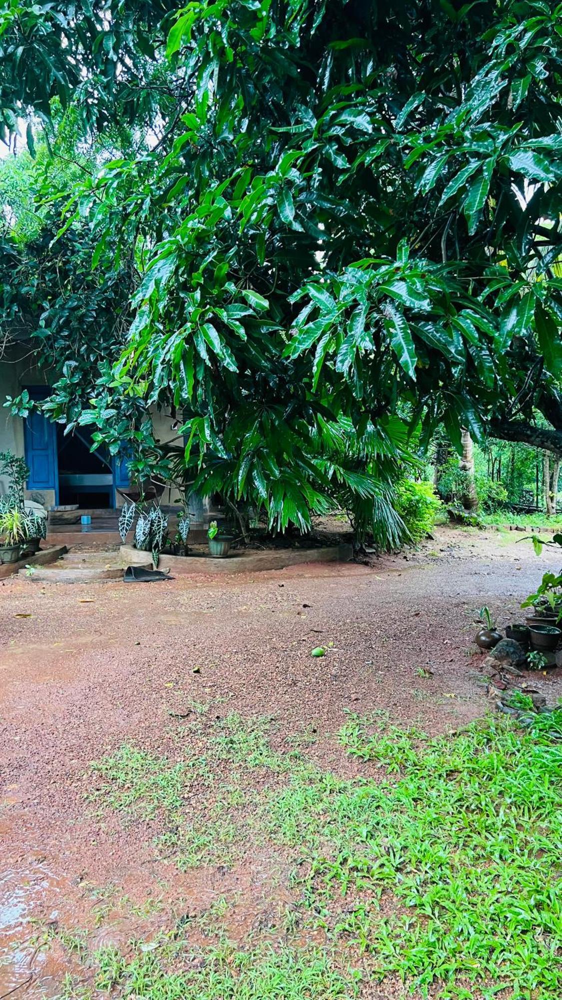 Kataragama Homestay Buitenkant foto
