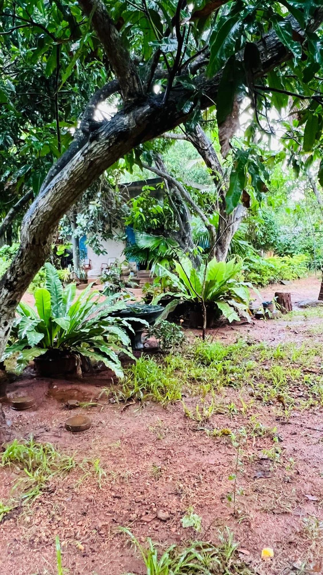 Kataragama Homestay Buitenkant foto
